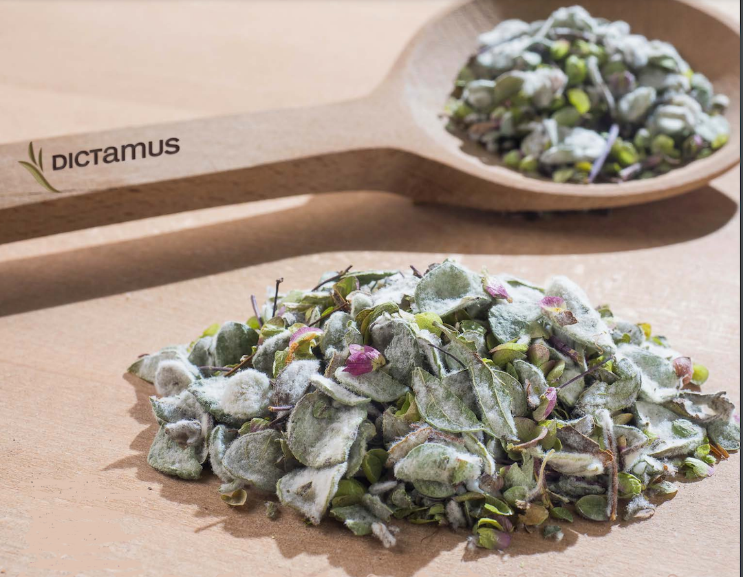 Dictame de Crète bio en tisane 20 sachets
