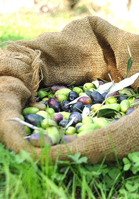 Tapenade d'olives noires de Kalamata (Koroni) 190g