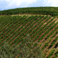 Vin rouge Plagies Gerakion 75cl