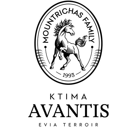 Vin rouge Mavrokoudoura Domaine Avantis 75cl