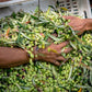 Huile d’olive extra vierge BIO de Corfou "Variété Lianelia"
