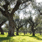 Tapenade d'olives noires de Kalamata (Koroni) 190g